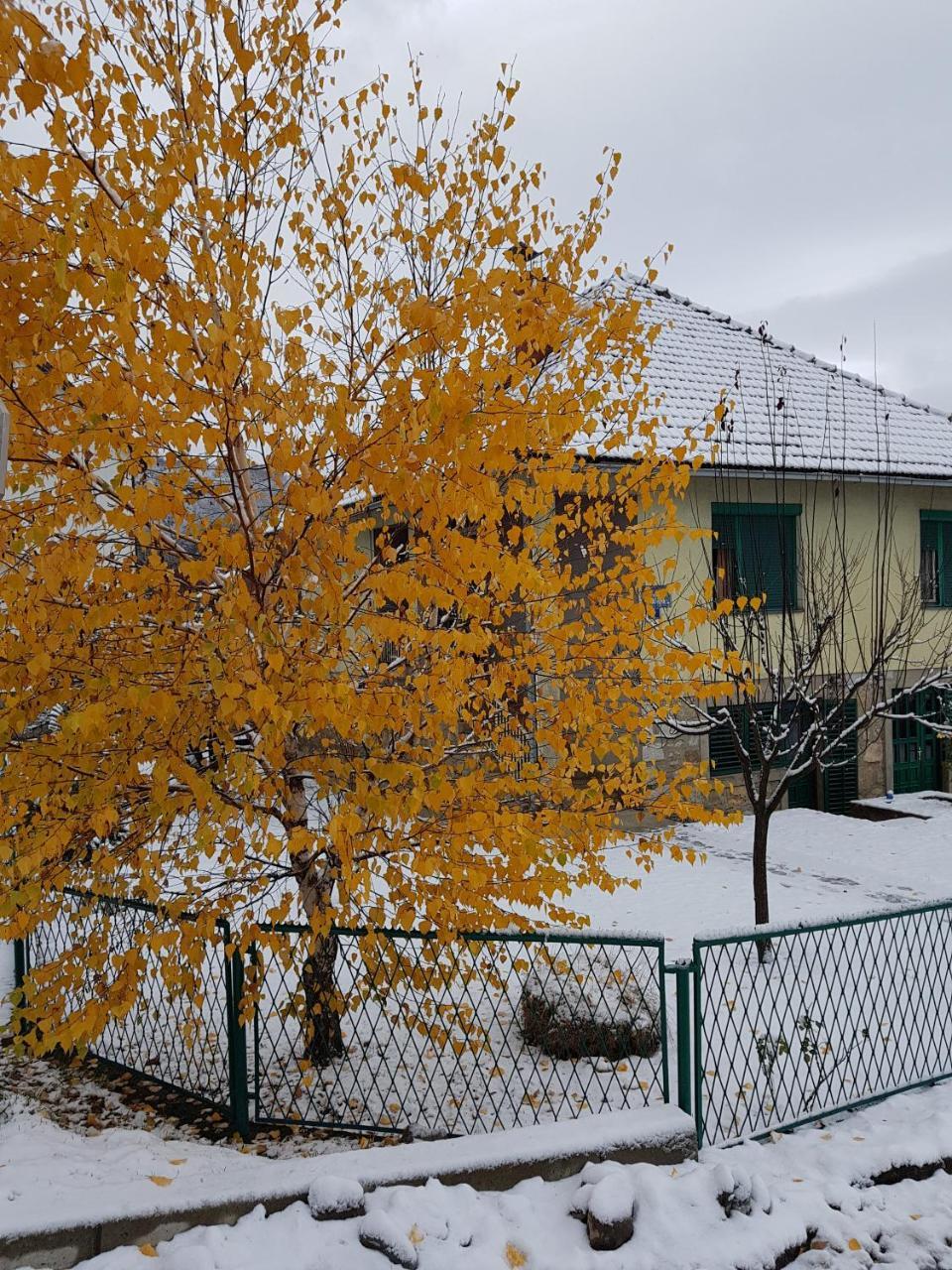 Apartment Center Kolasin Bagian luar foto